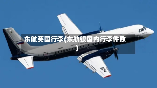 东航英国行李(东航银国内行李件数)