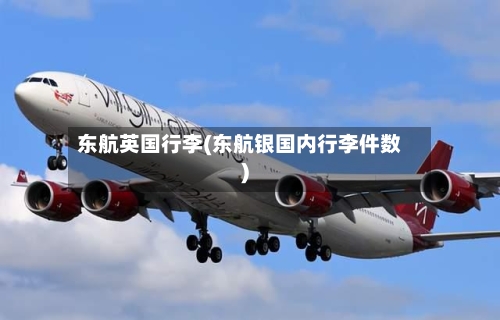 东航英国行李(东航银国内行李件数)-第3张图片