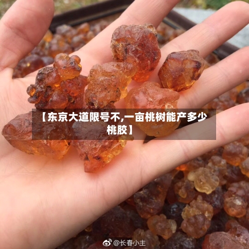 【东京大道限号不,一亩桃树能产多少桃胶】-第2张图片