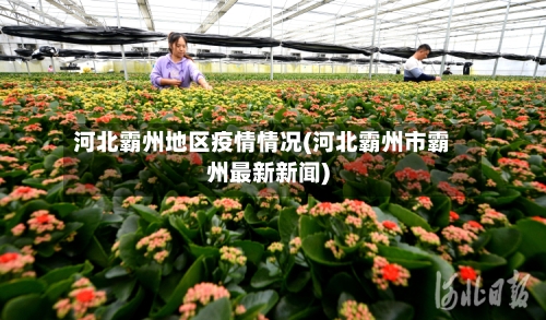 河北霸州地区疫情情况(河北霸州市霸州最新新闻)