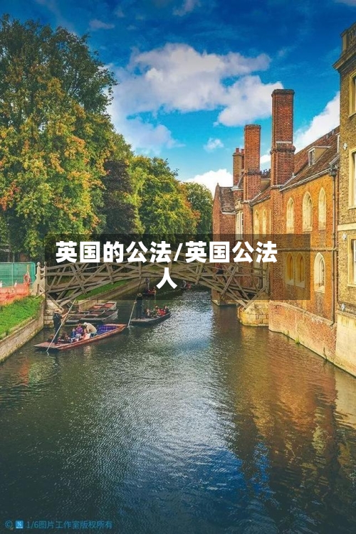 英国的公法/英国公法人