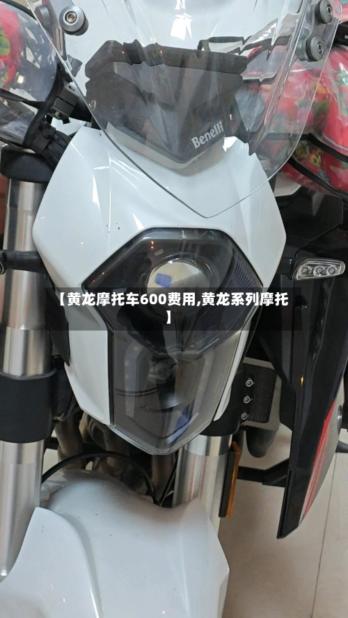 【黄龙摩托车600费用,黄龙系列摩托】-第2张图片