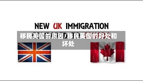 移民英国的原因/移民英国的好处和坏处-第2张图片