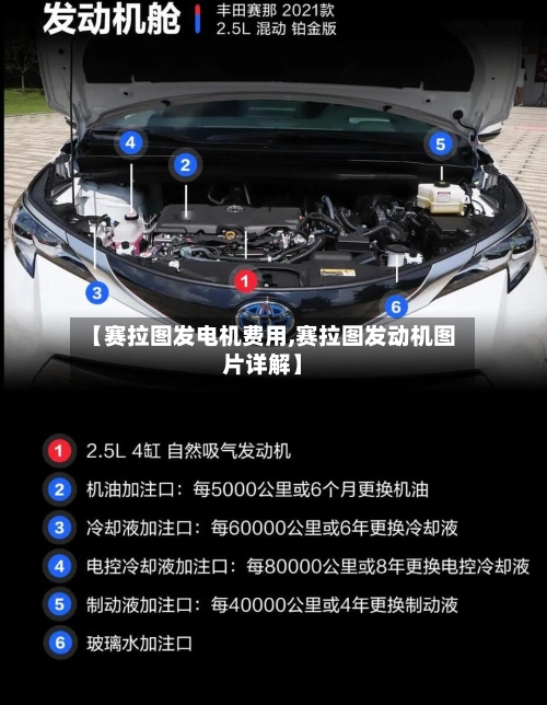 【赛拉图发电机费用,赛拉图发动机图片详解】