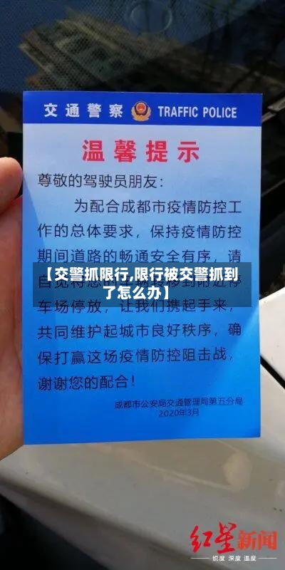 【交警抓限行,限行被交警抓到了怎么办】-第2张图片
