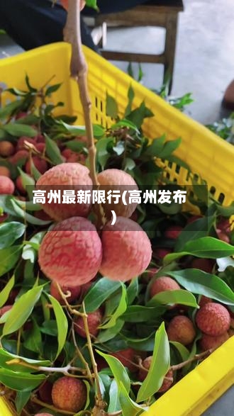 高州最新限行(高州发布)-第3张图片