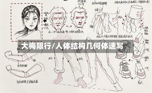 大梅限行/人体结构几何体速写