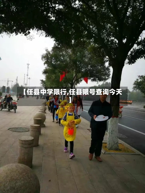 【任县中学限行,任县限号查询今天】