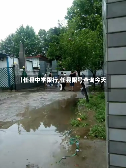 【任县中学限行,任县限号查询今天】-第3张图片