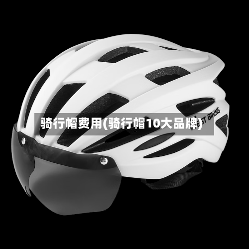 骑行帽费用(骑行帽10大品牌)-第3张图片
