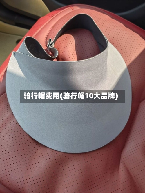 骑行帽费用(骑行帽10大品牌)