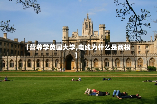 【营养学英国大学,电线为什么是两根】-第3张图片