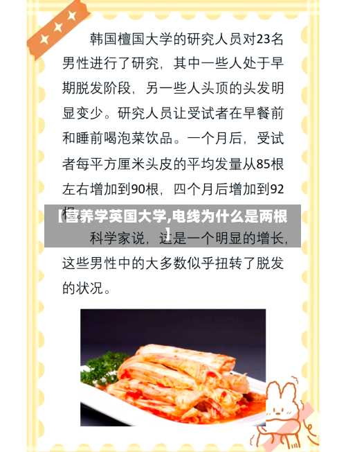 【营养学英国大学,电线为什么是两根】