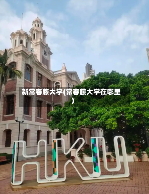 新常春藤大学(常春藤大学在哪里)