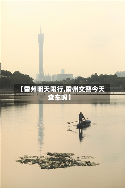 【雷州明天限行,雷州交警今天查车吗】-第2张图片