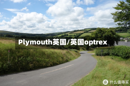 Plymouth英国/英国optrex-第2张图片