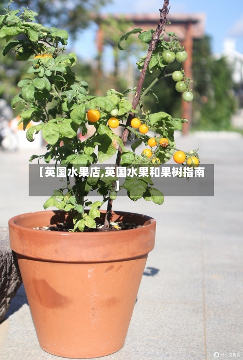 【英国水果店,英国水果和果树指南】