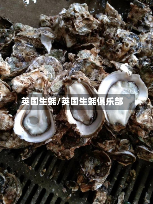 英国生蚝/英国生蚝俱乐部-第2张图片
