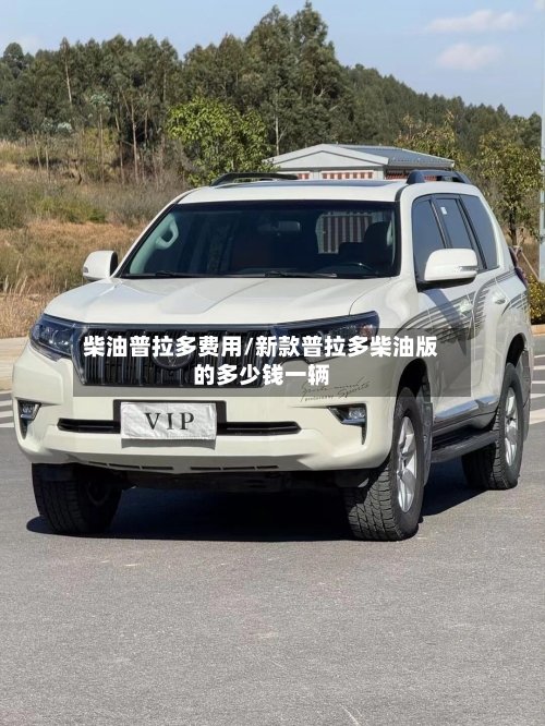 柴油普拉多费用/新款普拉多柴油版的多少钱一辆-第3张图片