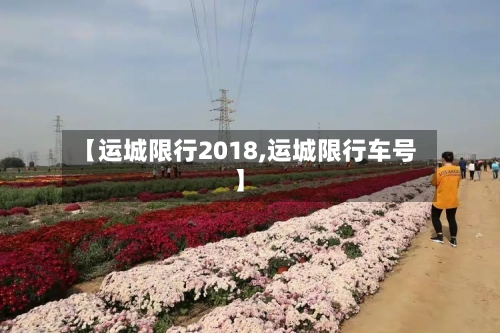 【运城限行2018,运城限行车号】-第3张图片