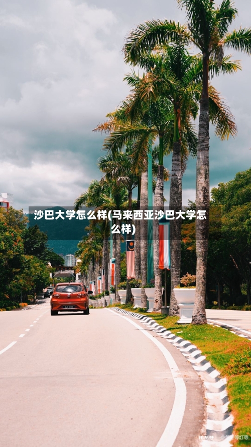 沙巴大学怎么样(马来西亚沙巴大学怎么样)-第3张图片