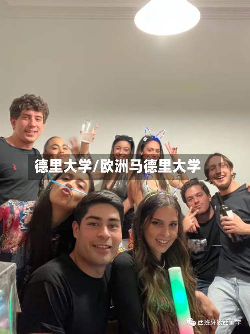 德里大学/欧洲马德里大学-第2张图片