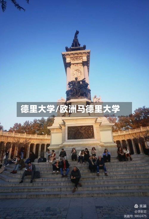 德里大学/欧洲马德里大学