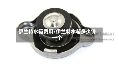 伊兰特水箱费用/伊兰特水箱多少钱一个-第3张图片