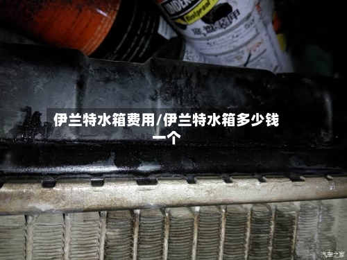 伊兰特水箱费用/伊兰特水箱多少钱一个-第2张图片