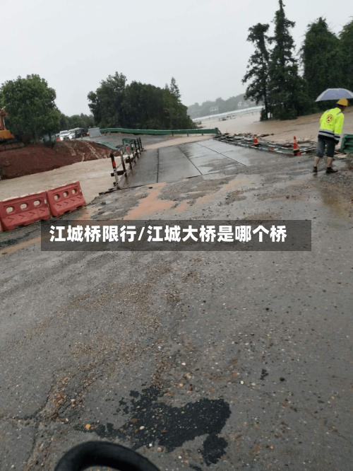 江城桥限行/江城大桥是哪个桥-第2张图片