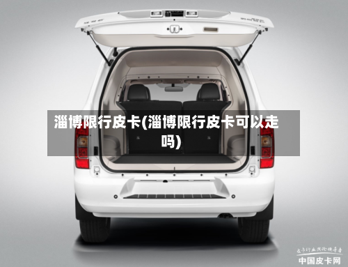 淄博限行皮卡(淄博限行皮卡可以走吗)-第2张图片