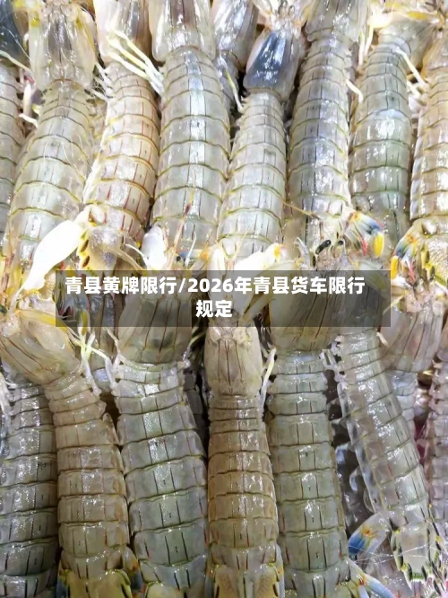 青县黄牌限行/2026年青县货车限行规定-第2张图片