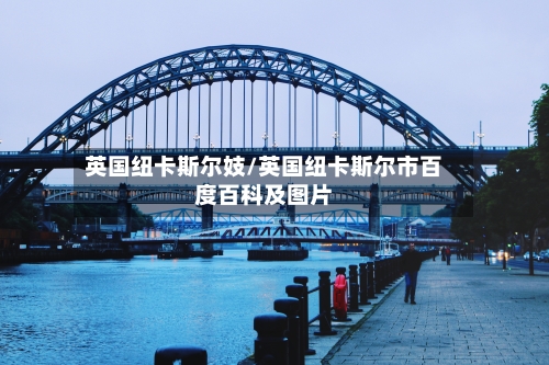 英国纽卡斯尔妓/英国纽卡斯尔市百度百科及图片
