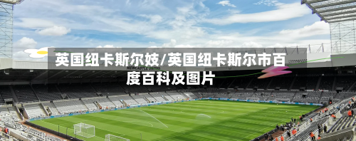 英国纽卡斯尔妓/英国纽卡斯尔市百度百科及图片-第3张图片