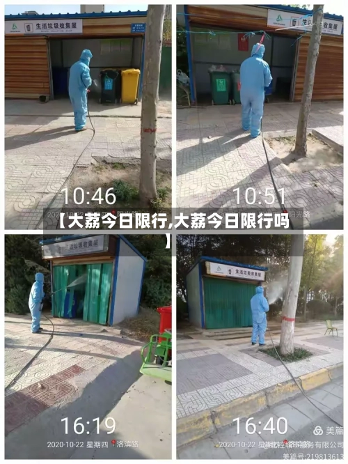 【大荔今日限行,大荔今日限行吗】-第3张图片