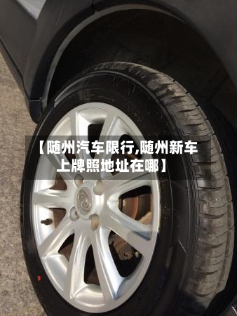 【随州汽车限行,随州新车上牌照地址在哪】-第2张图片