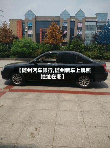 【随州汽车限行,随州新车上牌照地址在哪】-第3张图片