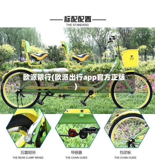 欧派限行(欧派出行app官方正版)
