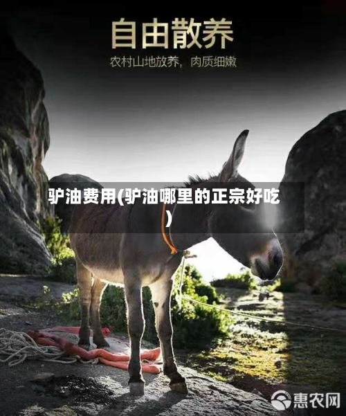 驴油费用(驴油哪里的正宗好吃)
