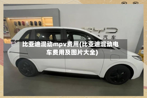 比亚迪混动mpv费用(比亚迪混动电车费用及图片大全)-第3张图片
