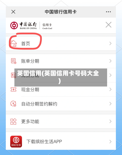 英国信用(英国信用卡号码大全)-第2张图片