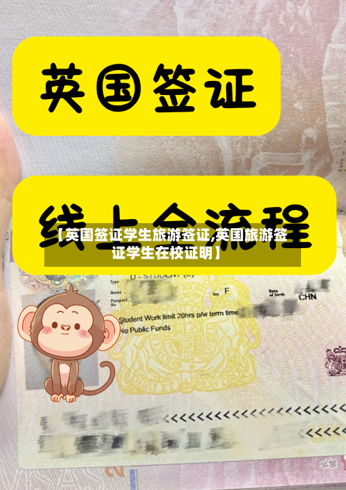 【英国签证学生旅游签证,英国旅游签证学生在校证明】