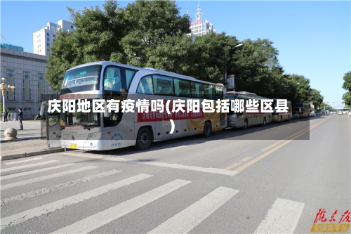 庆阳地区有疫情吗(庆阳包括哪些区县)