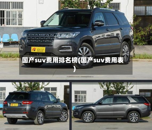国产suv费用排名榜(国产suv费用表)