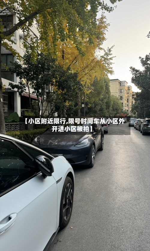 【小区附近限行,限号时间车从小区外开进小区被拍】-第3张图片