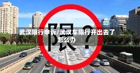 武汉限行申诉/武汉车限行开出去了怎么办-第2张图片