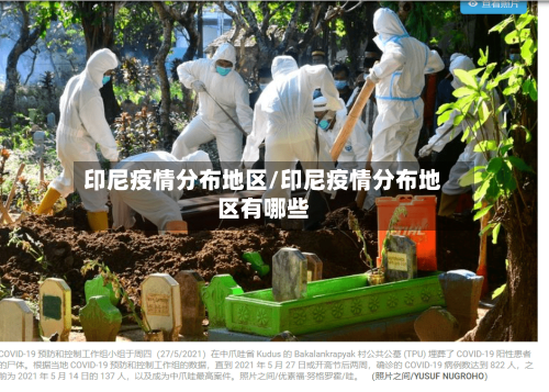 印尼疫情分布地区/印尼疫情分布地区有哪些-第2张图片