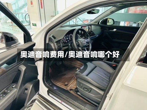 奥迪音响费用/奥迪音响哪个好-第3张图片