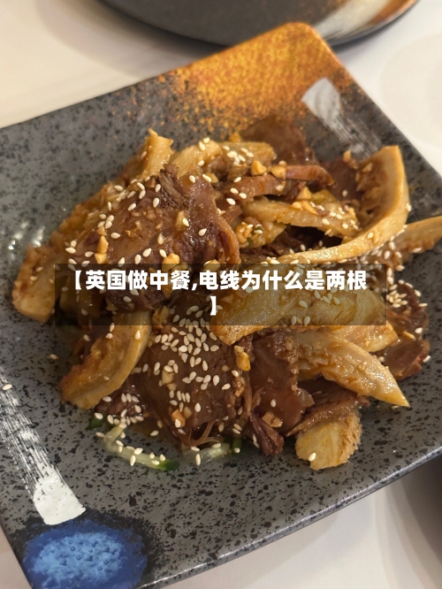 【英国做中餐,电线为什么是两根】