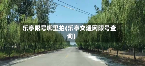 乐亭限号哪里拍(乐亭交通网限号查询)-第2张图片